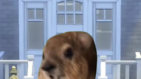 A new homeowner