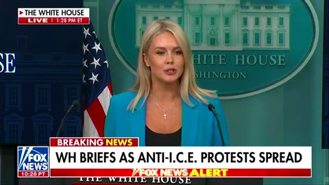 Karoline Leavitt stumbles when asked to prove if Trump was lying about protests