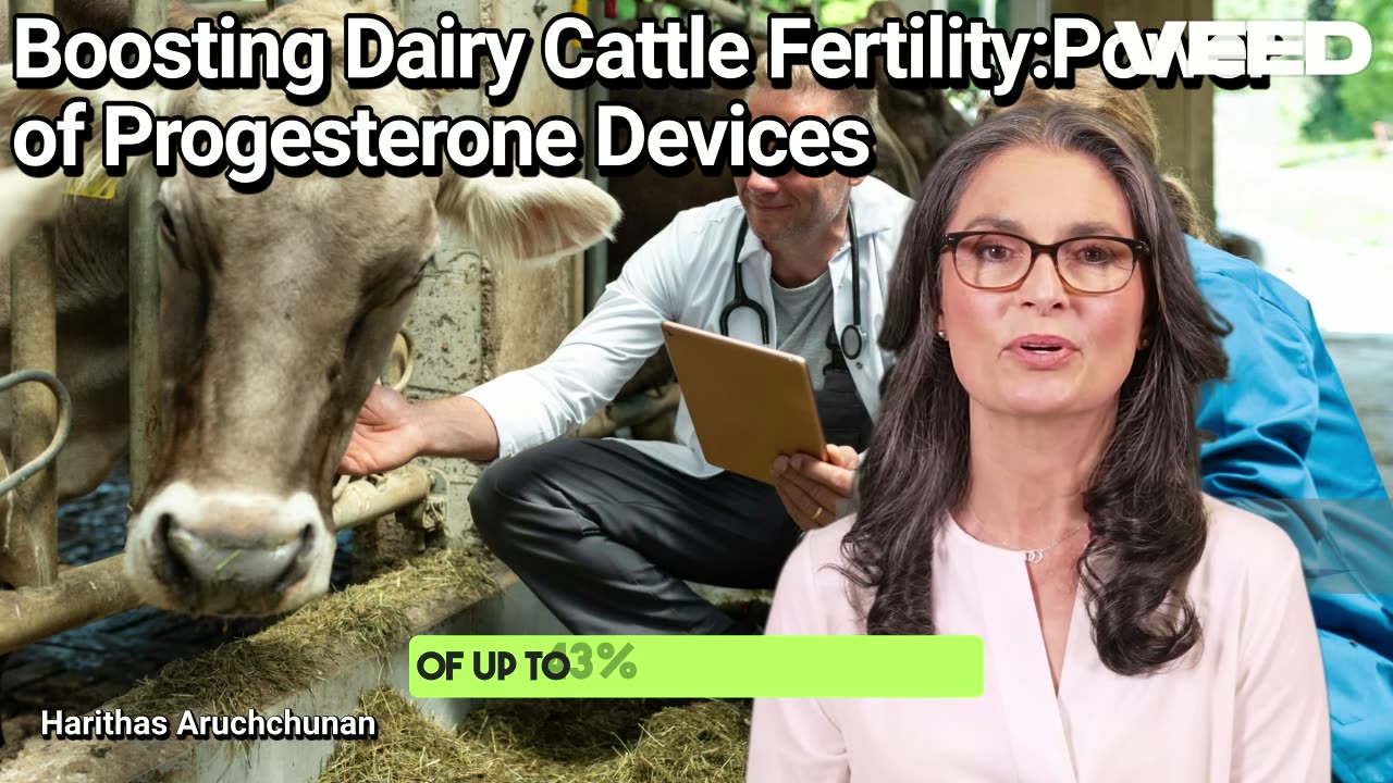 Boosting Dairy Cattle Fertility:Power of Progesterone Devices