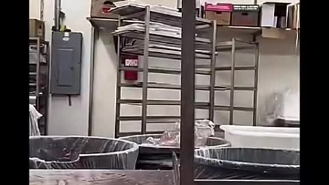 Worker cuts finger cutting meat