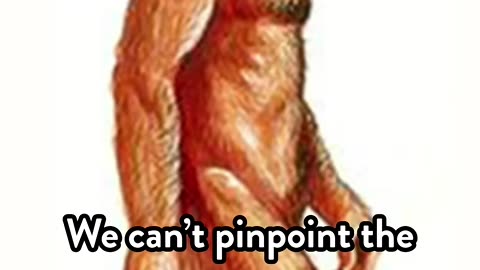 There was NO first human