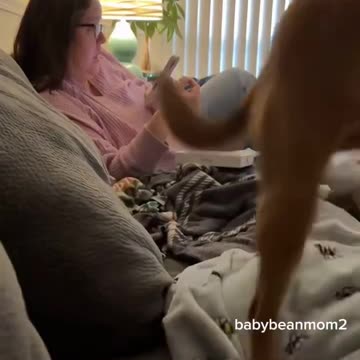 American records herself trying to cancel her Spectrum internet service.