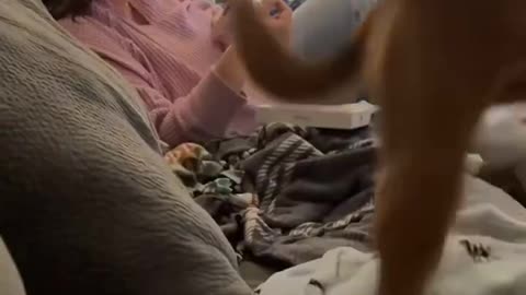 American records herself trying to cancel her Spectrum internet service.