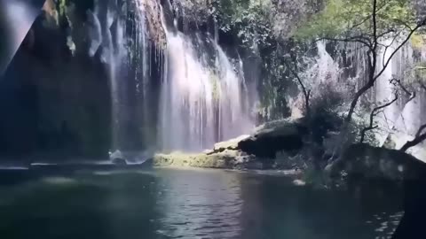 القران الكريم تلاوة تبكي القلب والعين