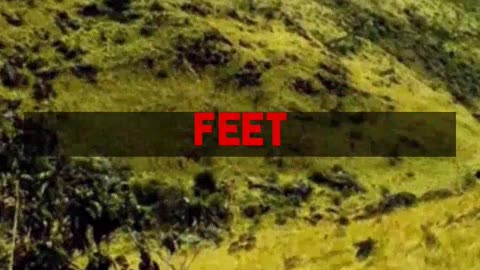 Beyond Looks Understanding Fashionable Walking Shoes for Adventures