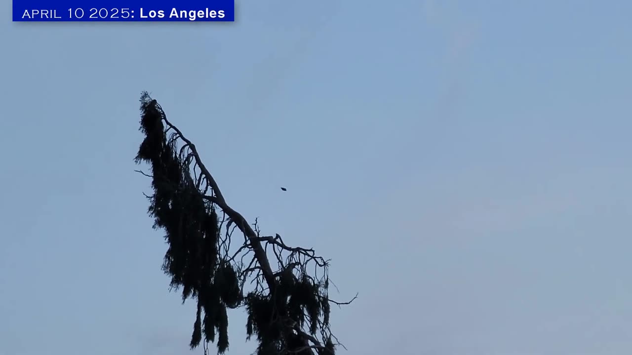 Vidéo authentique ! Un phénomène étrange est apparu dans le ciel du Japon.
