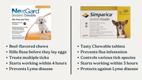 Nexgard vs. Simparica The Ultimate Flea and Tick Treatment Comparision