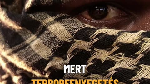 Elmarad a Taylor Swift-koncert iszlamista terrorfenyegetés miatt | Ripost