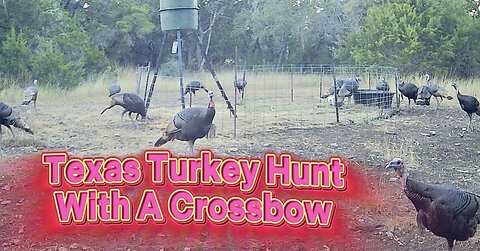 2nd Turkey Down! Texas Hill Country Woman Hunter with a Crossbow