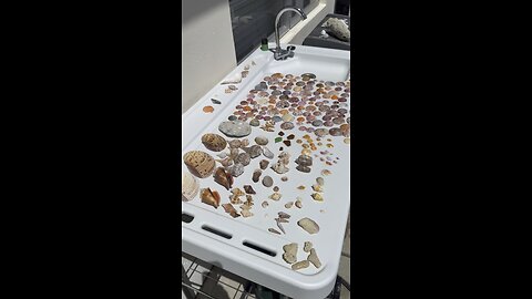 Beach Finds 9/21/2025 | 4K