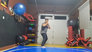 WTD 2 Step Kick Combination 168