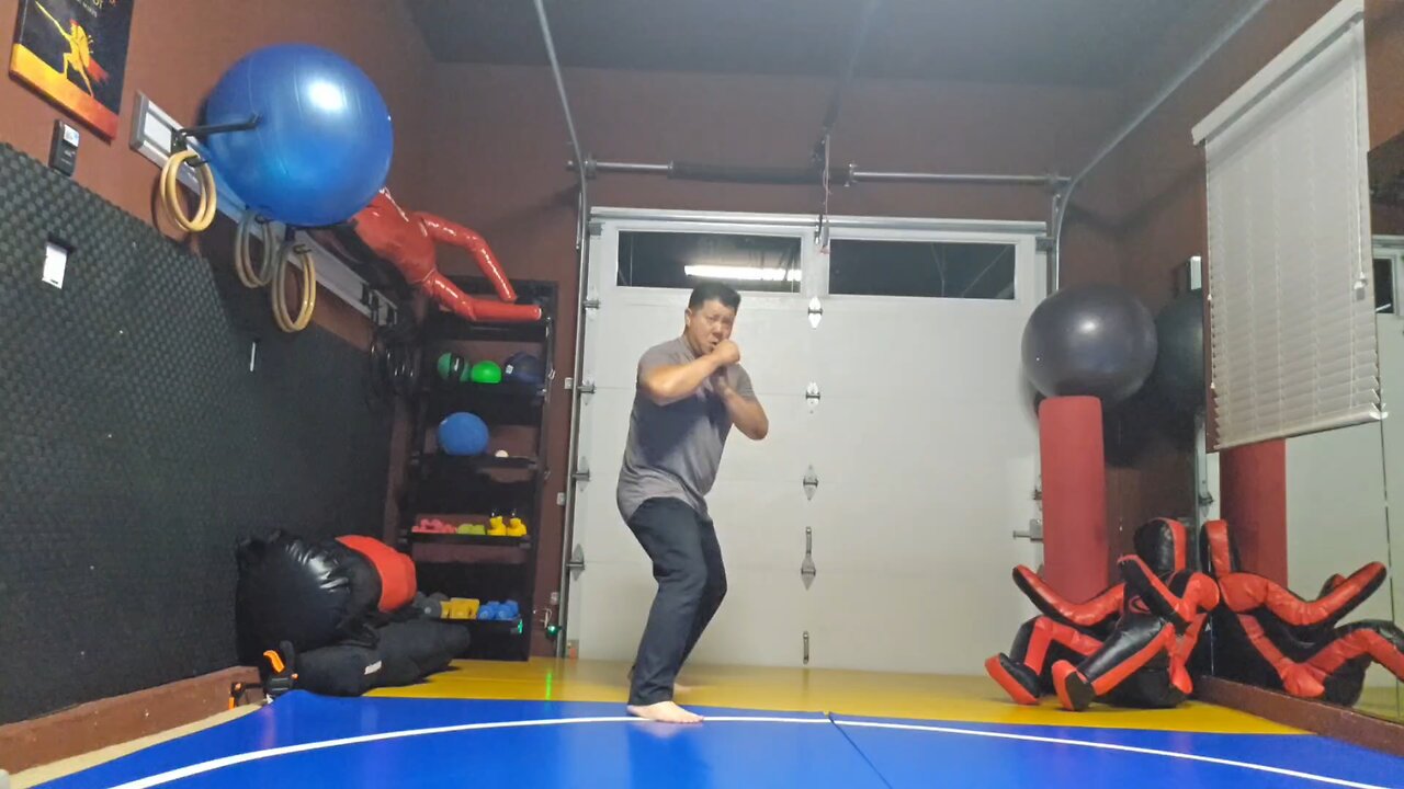 WTD 2 Step Kick Combination 168