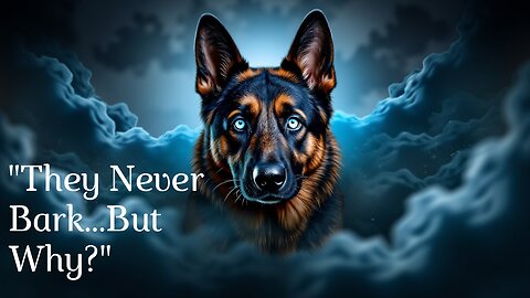 "Why do some dogs never bark? The secret that few know!"