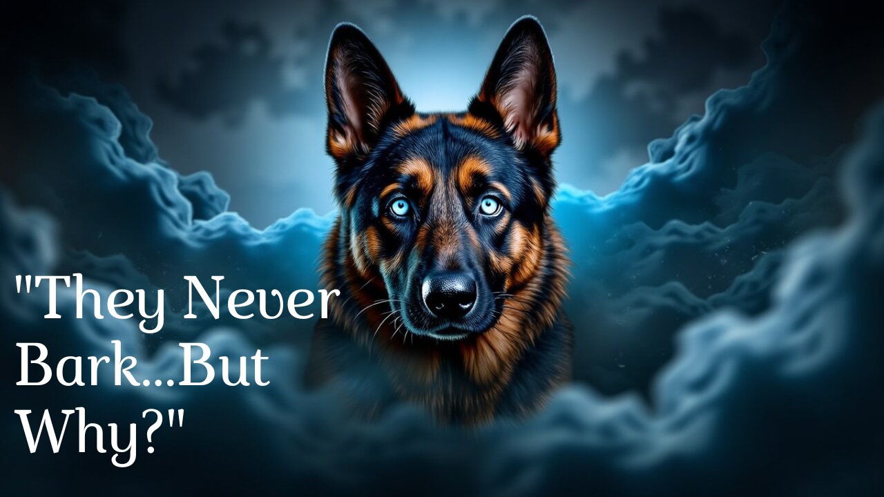 "Why do some dogs never bark? The secret that few know!"