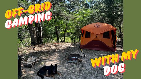 Solo Camping in the Woods with My Dog | Peaceful Overnights in Texas