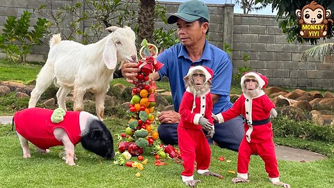 A happy Christmas week of YiYi and YinYin and friends