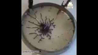 This is graphene oxide's reaction to 5G radio waves