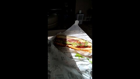 Meal, Jimmy Johns, Plymouth Rd, Livonia, MI, 6/29/25