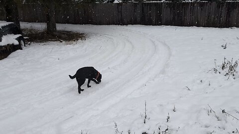 It's A Winter Wonderland Here!