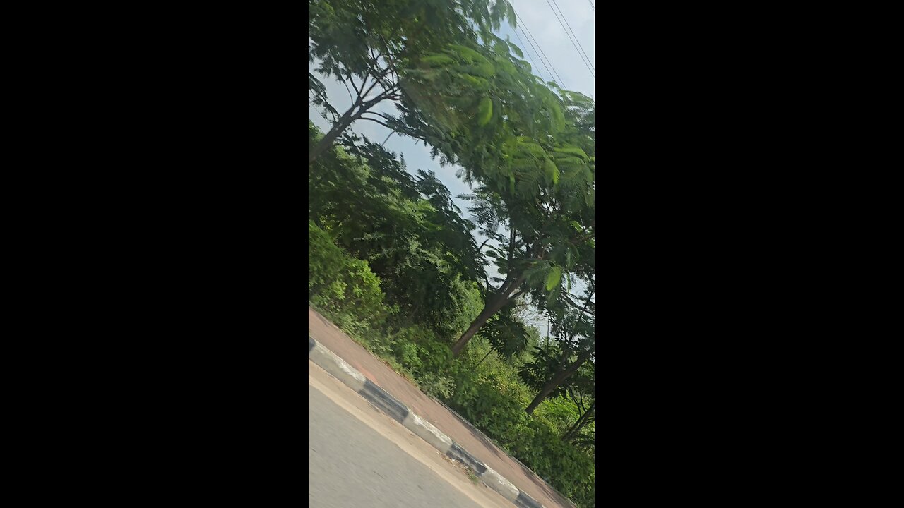 HAPPY SUNDAY EVERYONE ❤️