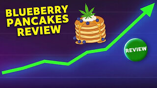 Blueberry pancakes 🥞 JK DISTRO