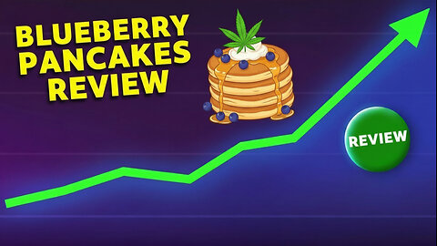 Blueberry pancakes 🥞 JK DISTRO