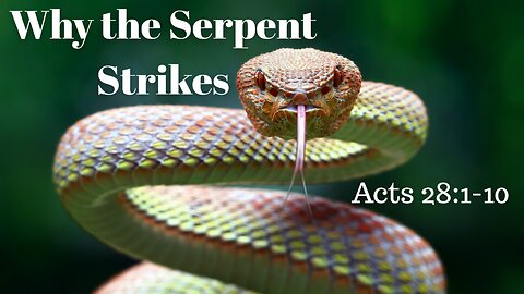 Acts 28:1-10 (Full Service), "Why the Serpent Strikes"