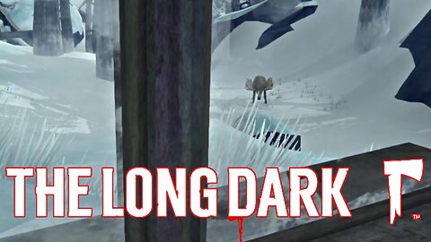 He moosed! Er, missed! ~ TLD Stalker Day 4-5