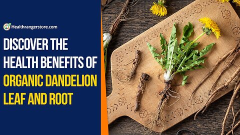 Discover the health benefits of Organic Dandelion Leaf and Root