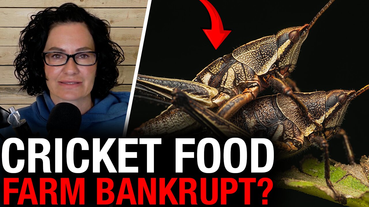 Liberals claim 'no records exist' for $9M given to collapsed cricket farm