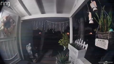 Alien caught on Ring camera