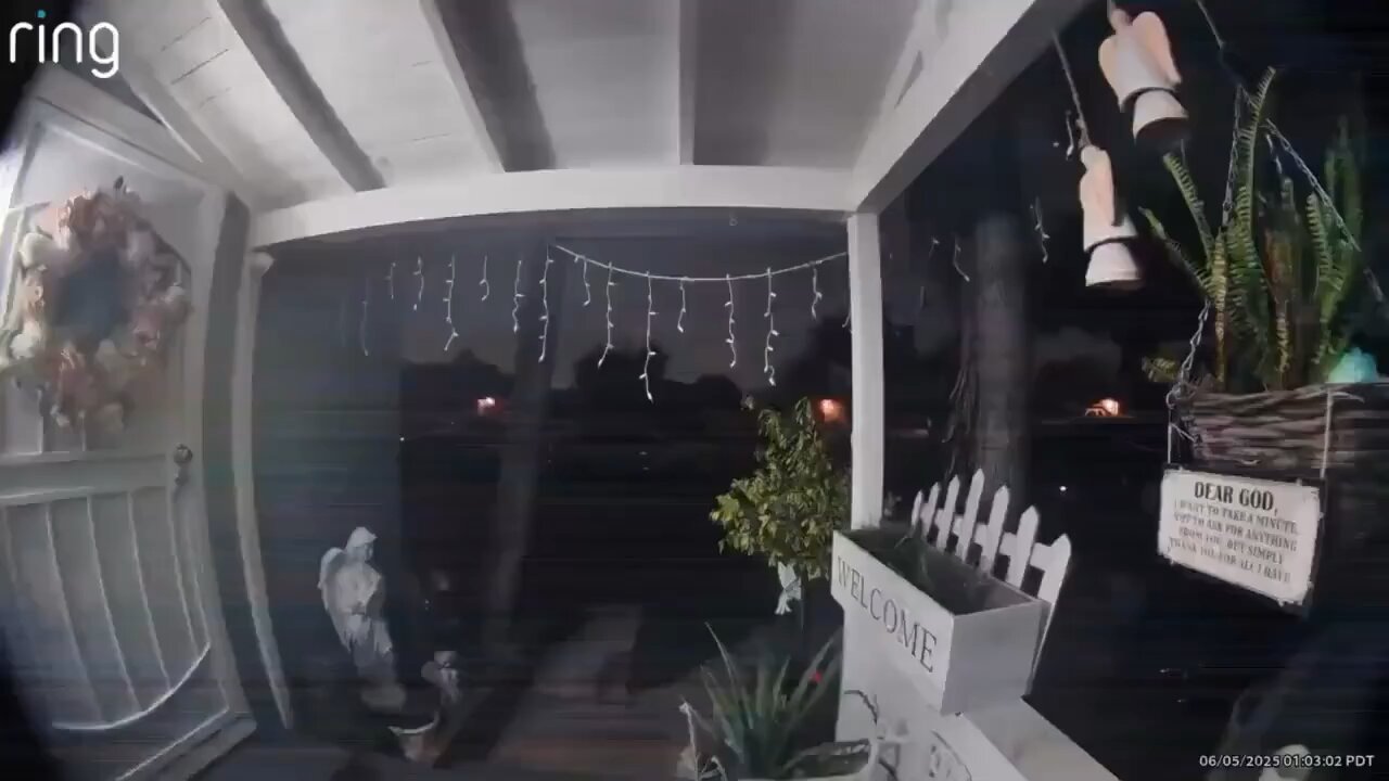 Alien caught on Ring camera