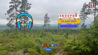 Skogpod 15. juni 2025