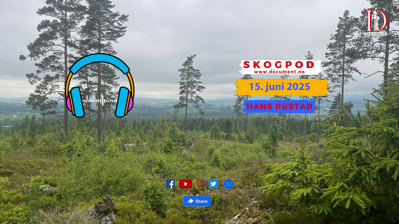 Skogpod 15. juni 2025