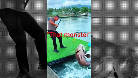 "The Brutal Fish That Almost Dragged the Fisherman – Insane Fight in the Water!"