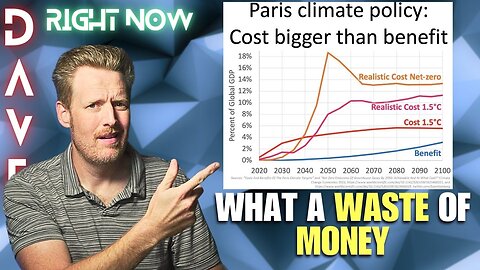 The cost-benefit disaster of Net Zero