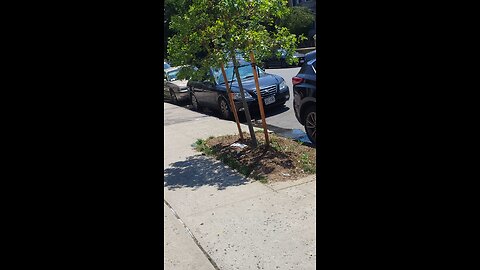 See the NY Predators Dept officers engaging in stalking, illegal surveillance and coercive threats