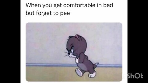 When you get comfortable in bed but forget to pee