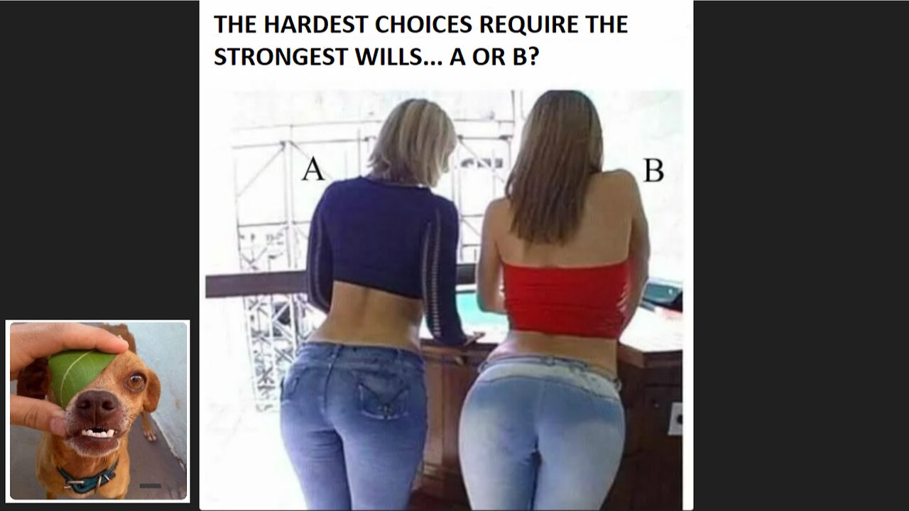 Memes That Will 99.0155% Make You Laugh. (e379)