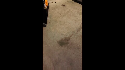 Carpet deep cleaning