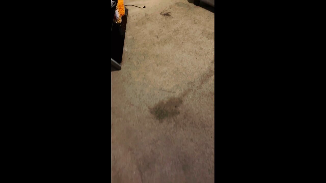 Carpet deep cleaning