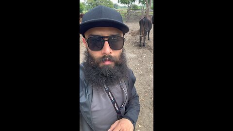 Vaca - Sergio Salgado - Grotul