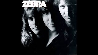Tell Me What You Want ~ Zebra