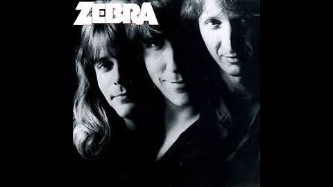 Tell Me What You Want ~ Zebra
