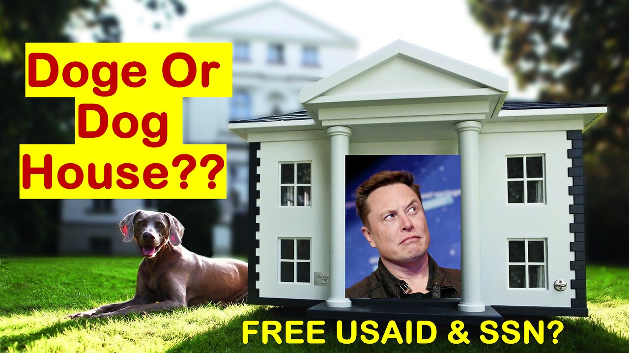 Elon Exposed!! In The Dog House Or Doge House??
