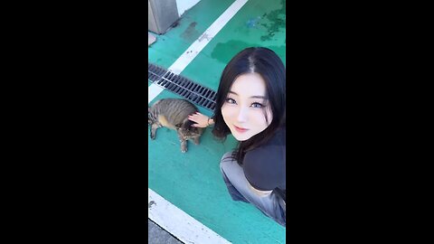 Awwww cat did a little yawn