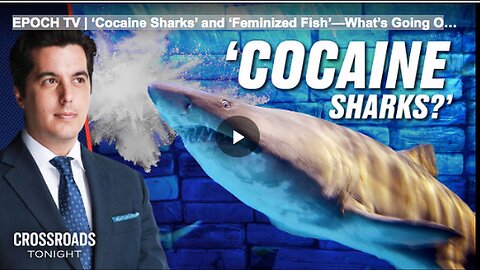 "EPOCH TV: Understanding the Phenomenon of 'Cocaine Sharks' and 'Feminized Fish'"