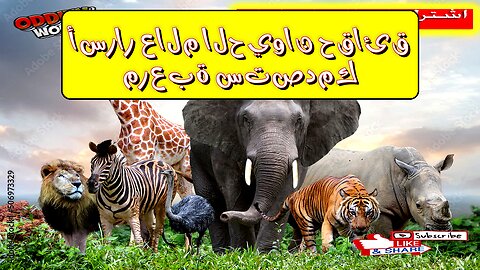 أسرار عالم الحيوان: حقائق مُرعبة ستصدمك!