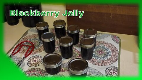 Blackberry Paradise: Harvesting Nature's Sweet Rewards