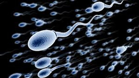Boost Your Male Fertility Naturally